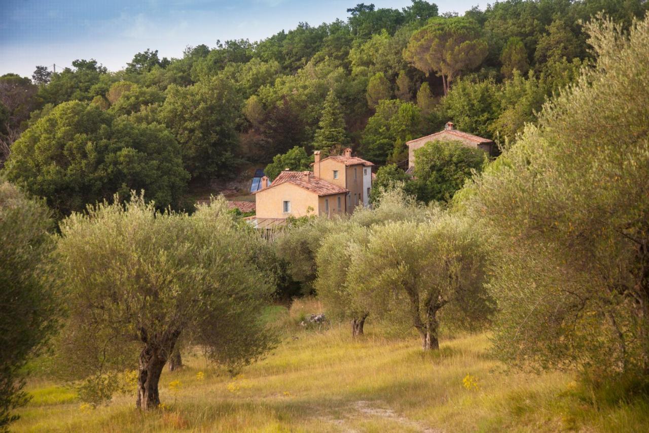Podere Tepolino Villa Castel del Piano  Esterno foto