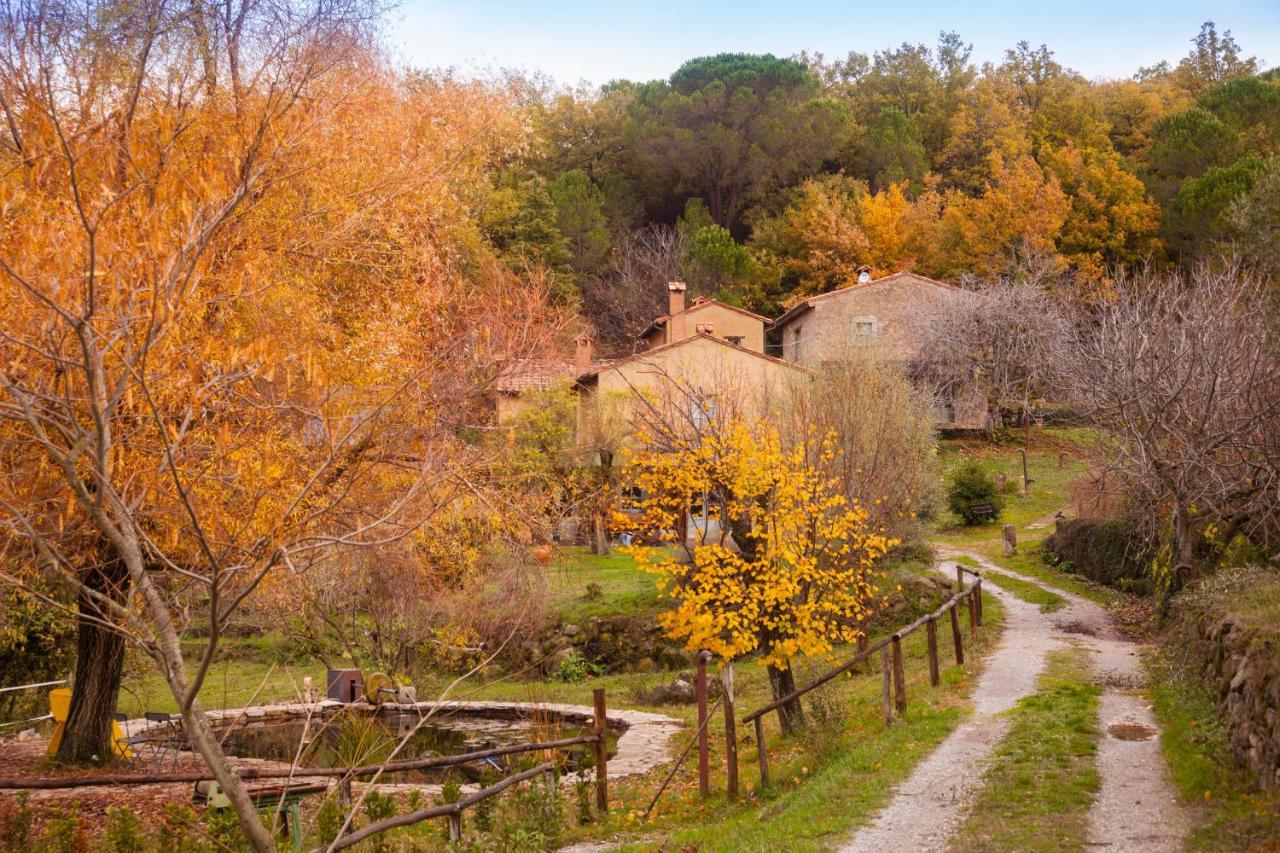 Podere Tepolino Villa Castel del Piano  Esterno foto